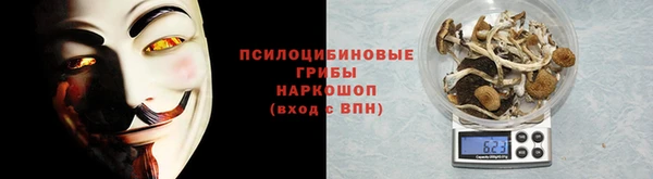 спиды Надым