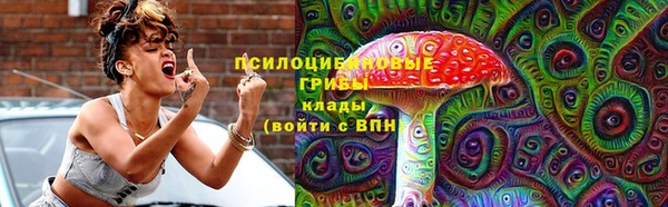 спиды Надым