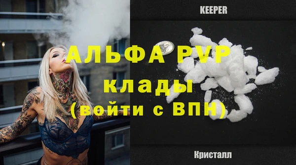 спиды Надым