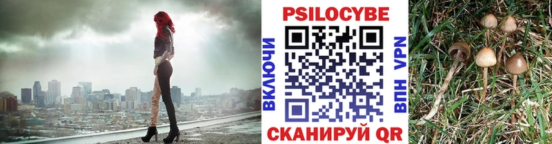 Псилоцибиновые грибы мухоморы Карачев