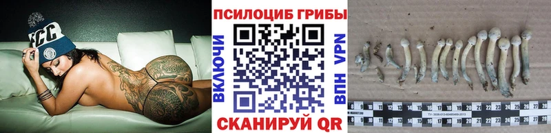 Псилоцибиновые грибы ЛСД Карачев
