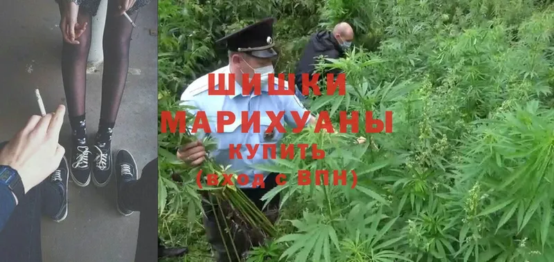 купить наркотик  Карачев  Шишки марихуана Amnesia 